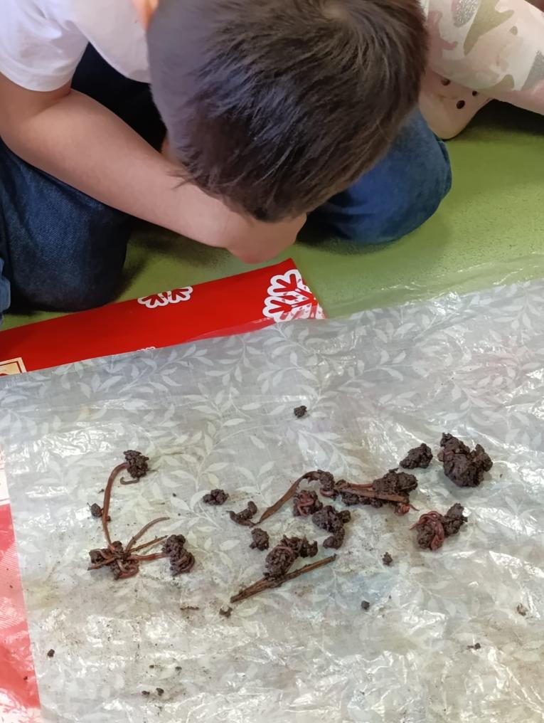 Žížaly na&nbsp;ubrusu