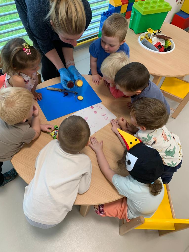 Jaký je rozdíl mezi bramborou a řepou?