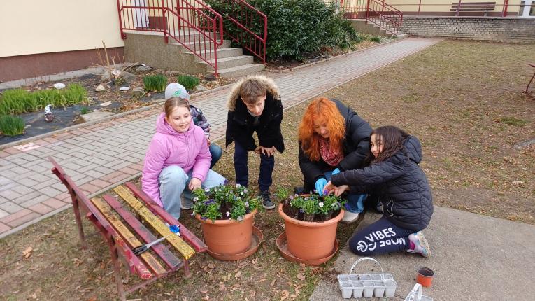 přesazování květin