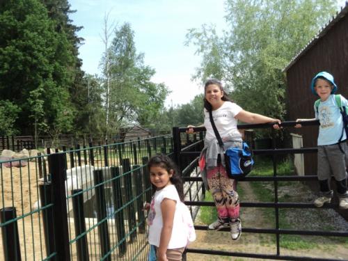 Školní výlet do Borovan a ZOO Dvorec